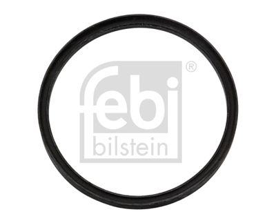 FEBI BILSTEIN 05028 Blīve, Degvielas augstspiediena