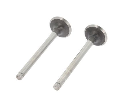 Выпускной клапан CORTECO 550002B