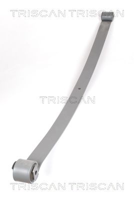 Многолистовая рессора TRISCAN 8765 10001