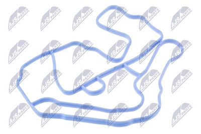 Прокладка, корпус термостата NTY CTM-RE-051