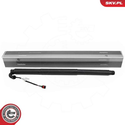Электромотор, задняя дверь ESEN SKV 52SKV255