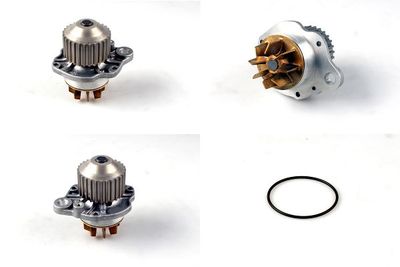 Ūdens sūknis, dzinēja dzesēšana HEPU P890