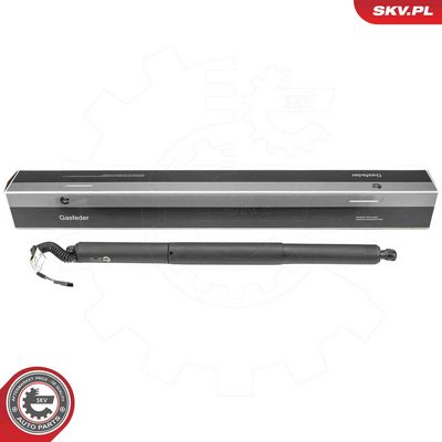 Электромотор, задняя дверь ESEN SKV 52SKV974