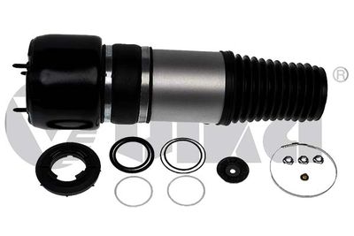 Pneimoatspere, Balstiekārta vika K51783501