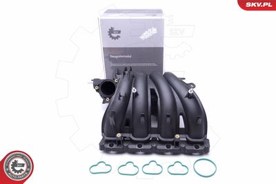 Модуль впускной трубы ESEN SKV 49SKV043