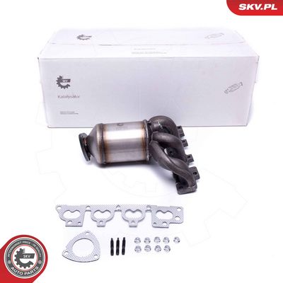 Катализатор ESEN SKV 62SKV006