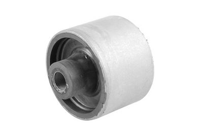 Piekare, Šķērssvira TEDGUM 00468282