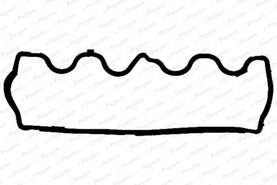 Прокладка, крышка головки цилиндра PAYEN JM5204