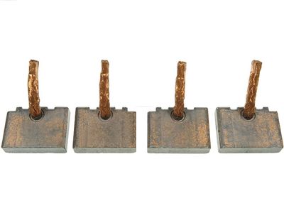 Ogļu sukas, Starteris AS-PL SB0011S