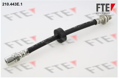 Тормозной шланг FTE 9240383