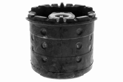 Piekare, Šķērssvira VAICO V20-0564