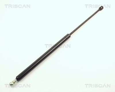 Gāzes atspere, Bagāžas/Kravas nodalījuma vāks TRISCAN 87102909