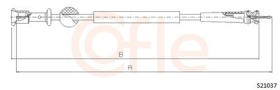 Spidometra trose COFLE 92.S21037