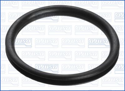 Blīve, eļļas cauruļvads AJUSA 01360600