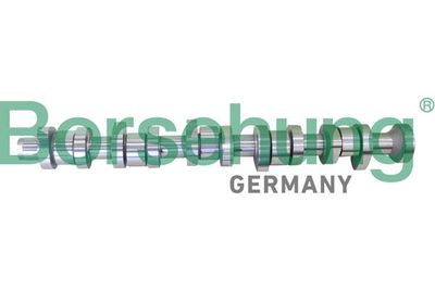 Sadales vārpsta BORSEHUNG B12299