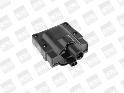 Aizdedzes spole BorgWarner (BERU) ZS445