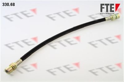 Тормозной шланг FTE 9240183