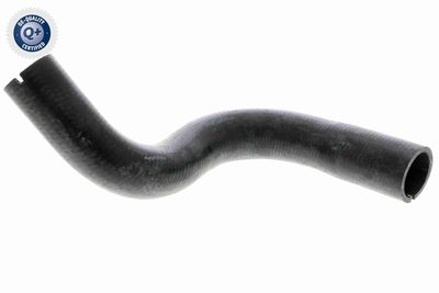 Radiatora cauruļvads VAICO V24-0872