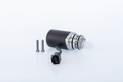 Sūknis, daudzdisku sajūgs (pilnpiedziņa) BorgWarner DS2010679