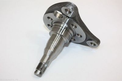 Осевая цапфа, балка моста AUTOMEGA 110035910