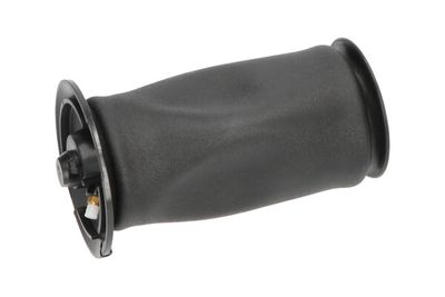 Pneimoatspere, Balstiekārta KAVO PARTS SAS-10005