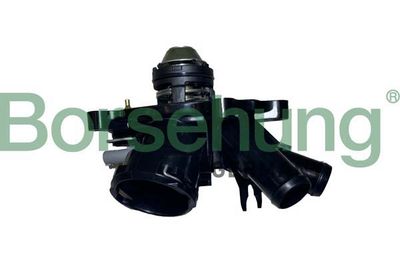 Termostats, Dzesēšanas šķidrums Borsehung B10557