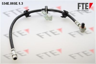 Тормозной шланг FTE 9240759