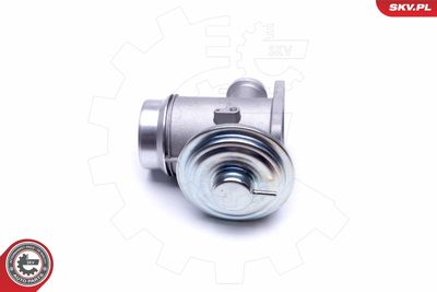 Клапан возврата ОГ ESEN SKV 14SKV176