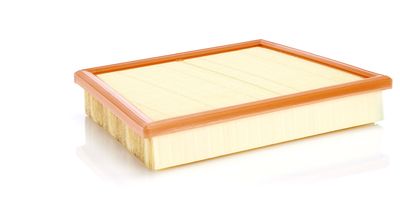 Воздушный фильтр MANN-FILTER C22017