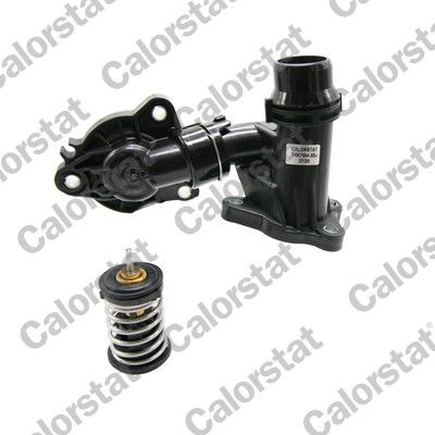 Termostats, Dzesēšanas šķidrums CALORSTAT by Vernet THK7504.85J