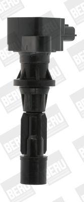Катушка зажигания BorgWarner (BERU) ZS488