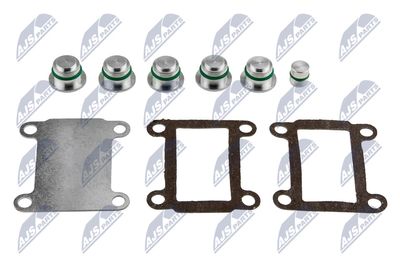 Модуль впускной трубы NTY BKS-FT-005A