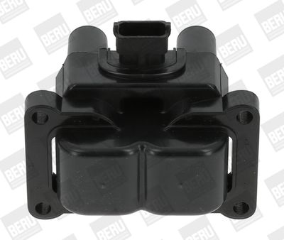 Aizdedzes spole BorgWarner (BERU) ZS395