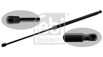 Gaasivedru,esiluuk FEBI BILSTEIN 48769