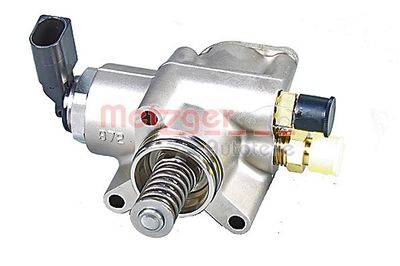 Augstspiediena sūknis METZGER 2250446