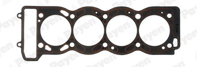 Прокладка, головка цилиндра PAYEN AC5630