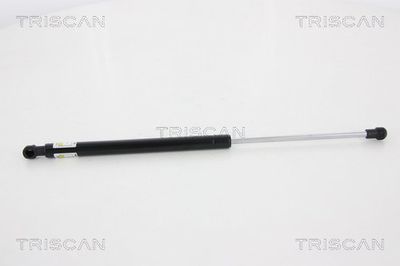 Gāzes atspere, Bagāžas/Kravas nodalījuma vāks TRISCAN 8710 13275