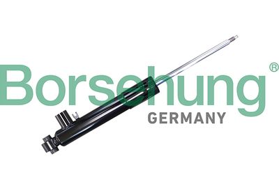 Amortizators BORSEHUNG B11179
