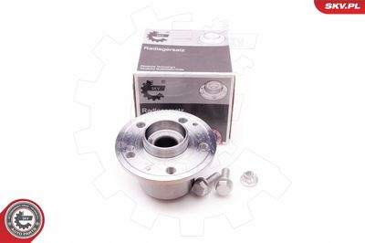 Комплект подшипника ступицы колеса ESEN SKV 29SKV144