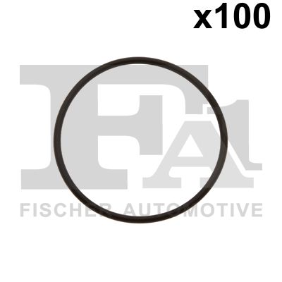 Уплотнительное кольцо FA1 076.708.100