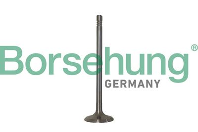 Впускной клапан Borsehung B10347