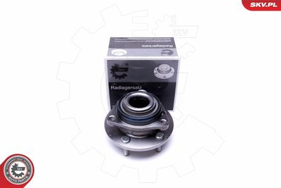 Комплект подшипника ступицы колеса ESEN SKV 29SKV367