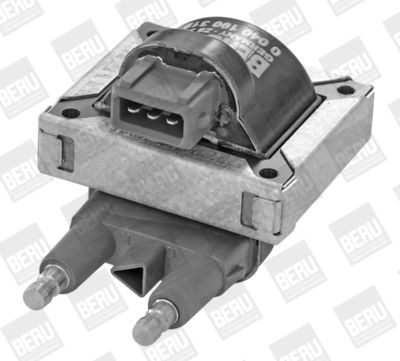 Aizdedzes spole BorgWarner (BERU) ZS319