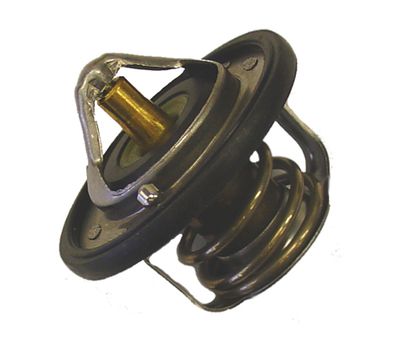 Termostats, Dzesēšanas šķidrums BorgWarner (Wahler) 410229.82D