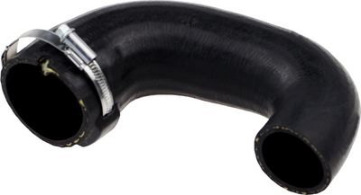 Pūtes sistēmas gaisa caurule GATES 09-0694