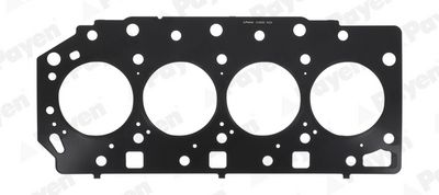 Прокладка, головка цилиндра PAYEN AG9880