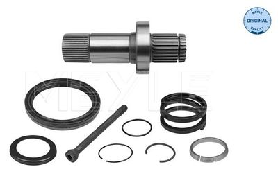 Atlokvārpsta, Diferenciālis MEYLE 100 498 0242