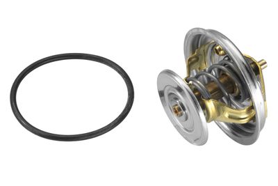 Termostats, Dzesēšanas šķidrums BorgWarner (Wahler) 4078.92D