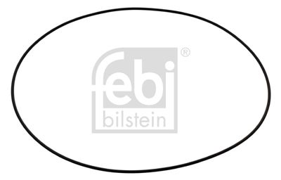 Blīvgredzens, Riteņa rumba FEBI BILSTEIN 35418