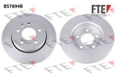 Тормозной диск FTE 9082642